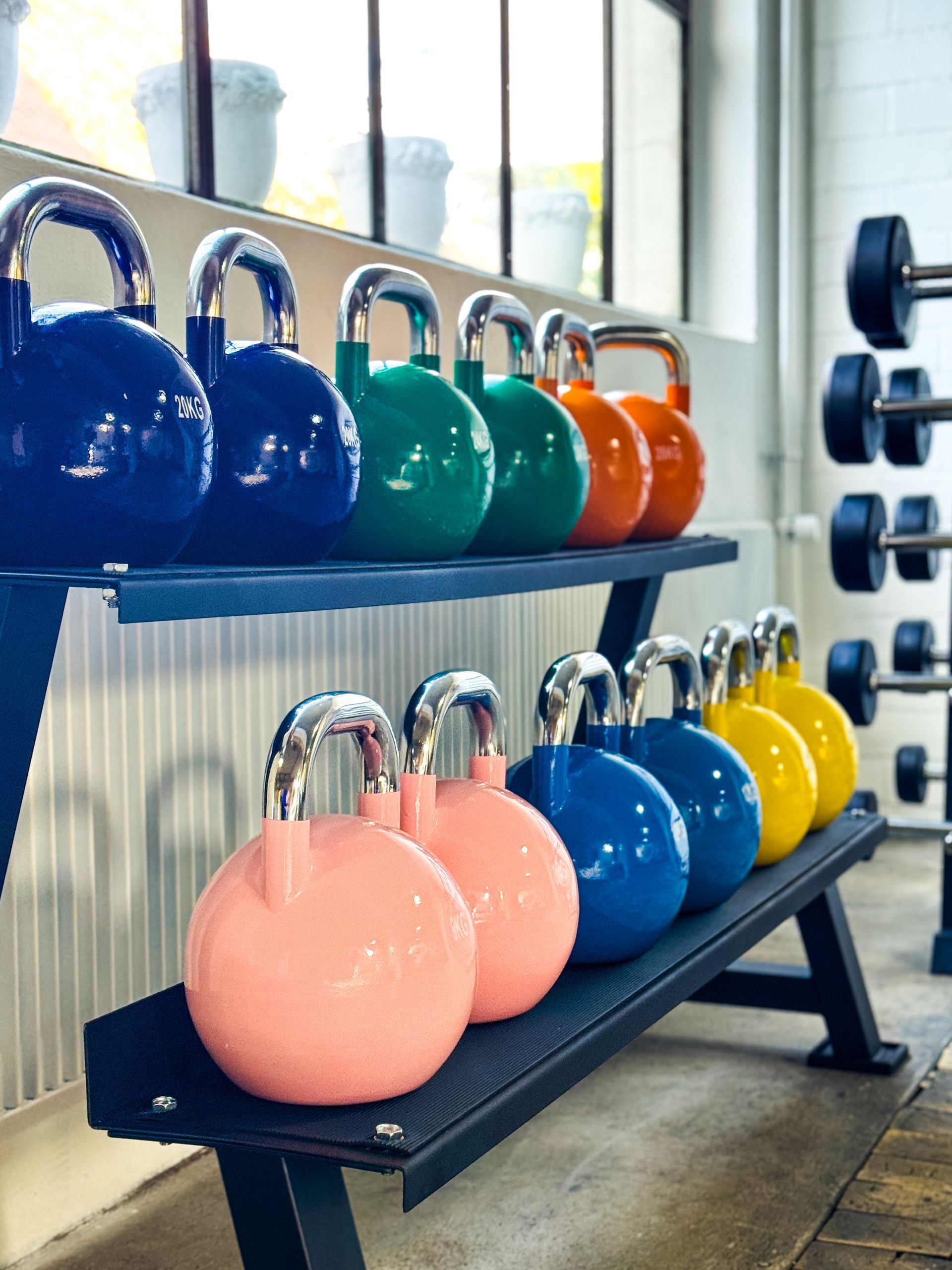 SchmitteGym